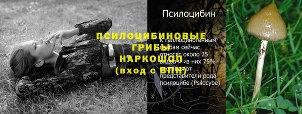 первитин Нягань