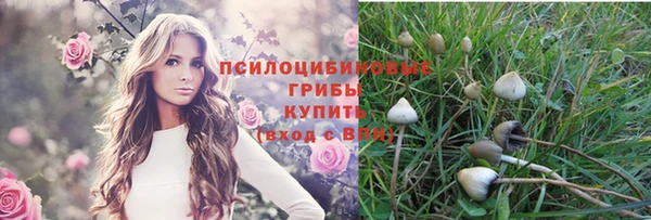 прущая мука Няндома