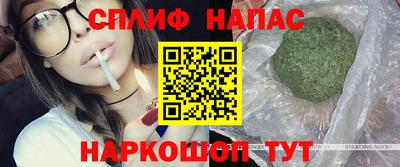 СК Шахты