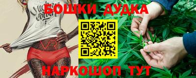 СК Шахты