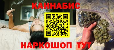 стафф Шелехов