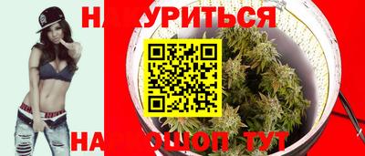 стафф Шелехов