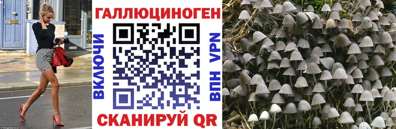 Галлюциногенные грибы Psilocybe  omg как войти  Усть-Кут  магазин продажи  