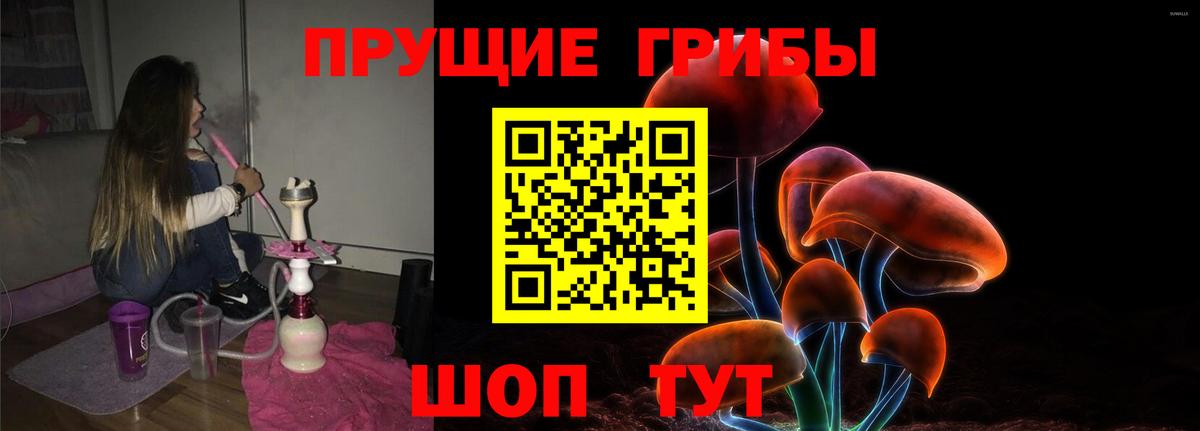 Галлюциногенные грибы Psilocybine cubensis Усть-Кут