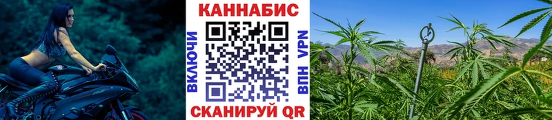 где найти наркотики  Усть-Кут  Канабис сатива 